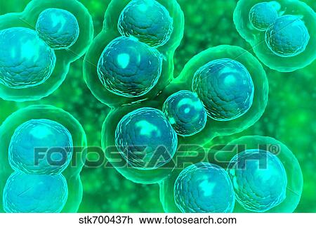 Drawing - Microscopic view of chlamydia.. Fotosearch