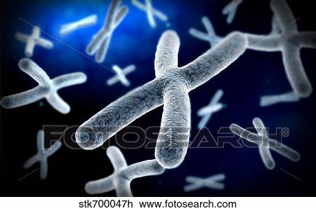 Drawing - Microscopic view of chromosome.. Fotosearch