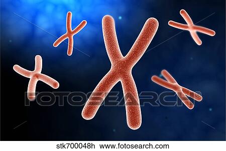 Microscopic view of chromosome. View Large Illustration Drawing - Microscopic view of chromosome.. Fotosearch