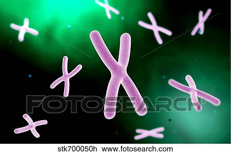 Microscopic view of chromosome. View Large Illustration Drawing - Microscopic view of chromosome.. Fotosearch