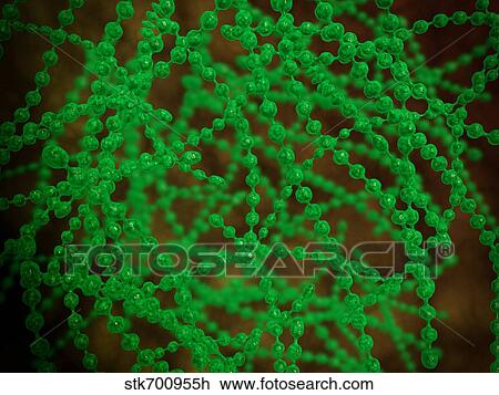 Drawing - Microscopic view of cocci bacterium.. Fotosearch