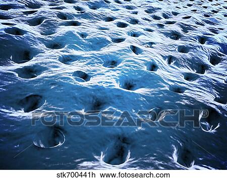 Drawing - Microscopic view of Dentine.. Fotosearch
