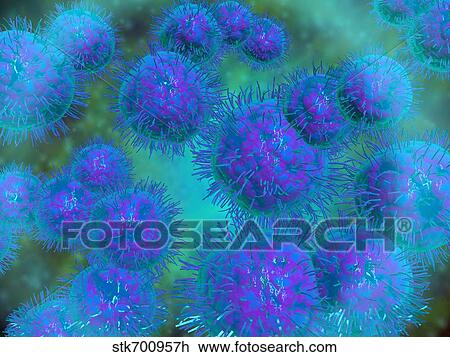 Drawing - Microscopic view of diplococcus bacterium. . Fotosearch