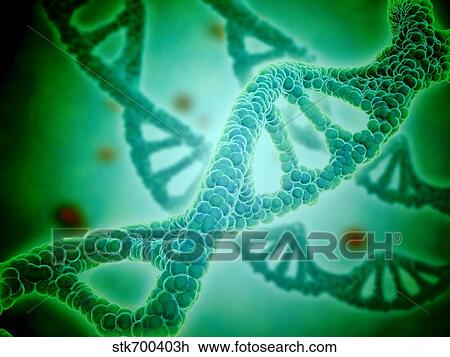 Drawing - Microscopic view of DNA.. Fotosearch