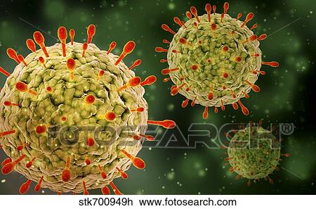 Microscopic view of herpes virus. Drawing | stk700949h ...