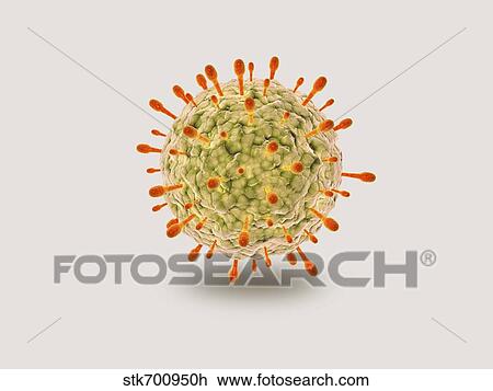 Drawing - Microscopic view of herpes virus.. Fotosearch