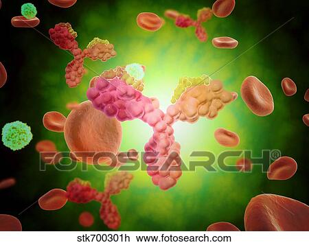 Drawing - Microscopic view of human anitbodies with red blood cells.. Fotosearch