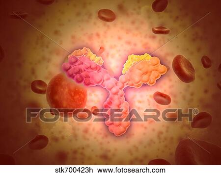 Drawing - Microscopic view of human anitbodies with red blood cells.. Fotosearch