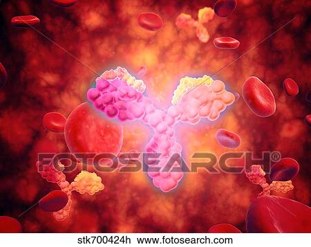 Drawing - Microscopic view of human anitbodies with red blood cells.. Fotosearch