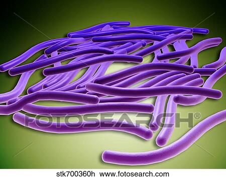 Microscopic view of Legionella pneumophila. View Large Illustration Drawing - Microscopic view of Legionella pneumophila.. Fotosearch