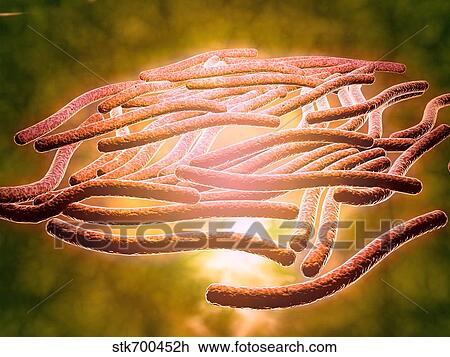 Drawing - Microscopic view of Legionella pneumophila.. Fotosearch