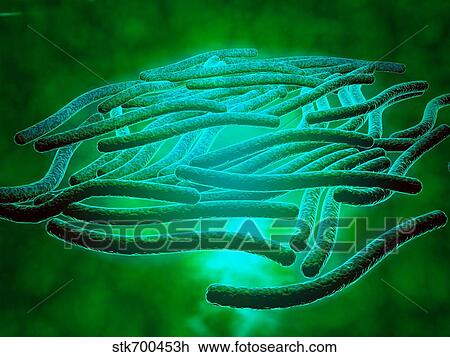 Drawing - Microscopic view of Legionella pneumophila.. Fotosearch