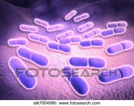 Drawing - Microscopic view of Listeria monocytogenes.. Fotosearch