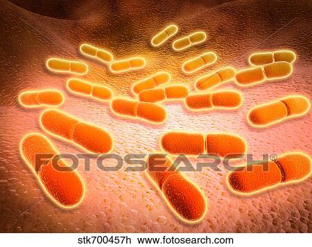 Drawing - Microscopic view of Listeria monocytogenes.. Fotosearch