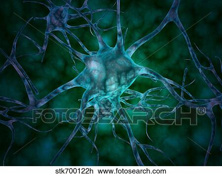 Microscopic view of multiple nerve cells, known as neurons. View Large Illustration Drawing - Microscopic view of multiple nerve cells, known as neurons.. Fotosearch