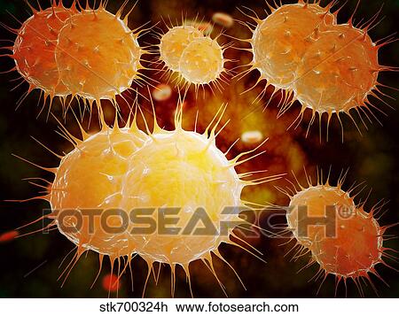 Drawing - Microscopic view of Neisseria gonorrhoeae.. Fotosearch
