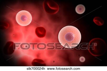 Drawing - Microscopic view of plasma cell inside blood vessel.. Fotosearch