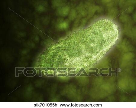 Drawing - Microscopic view of protozoa.. Fotosearch