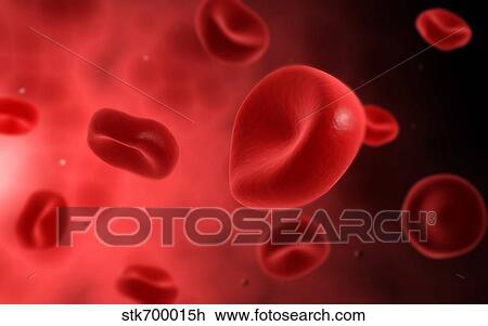 Drawing - Microscopic view of red blood cells.. Fotosearch