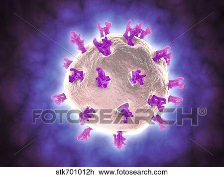 Drawing - Microscopic view of rotavirus.. Fotosearch