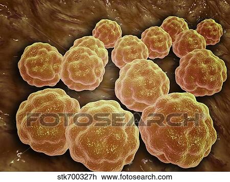 Microscopic view of Rubella virus. View Large Illustration Drawing - Microscopic view of Rubella virus.. Fotosearch
