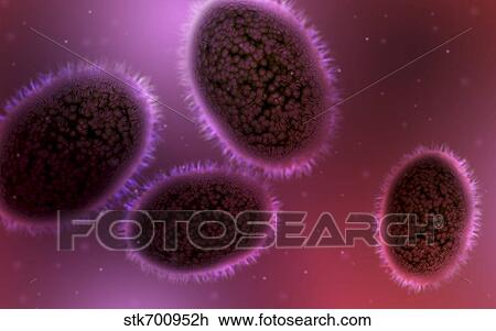 Drawing - Microscopic view of samllpox.. Fotosearch