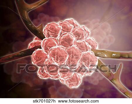 Drawing - Microscopic view of Stachybotrys.. Fotosearch