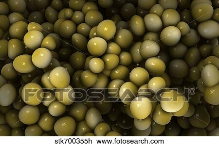 Microscopic view of staphylococcus. View Large Illustration Drawing - Microscopic view of staphylococcus.. Fotosearch