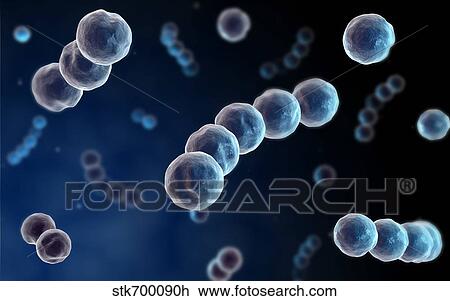 Microscopic view of streptococcus. View Large Illustration Drawing - Microscopic view of streptococcus.. Fotosearch