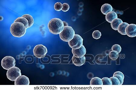Drawing - Microscopic view of streptococcus.. Fotosearch