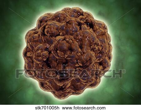 Microscopic view of the capsid protein of Nudaurelia capensis omega virus. View Large Illustration Drawing - Microscopic view of the capsid protein of Nudaurelia capensis omega virus.. Fotosearch