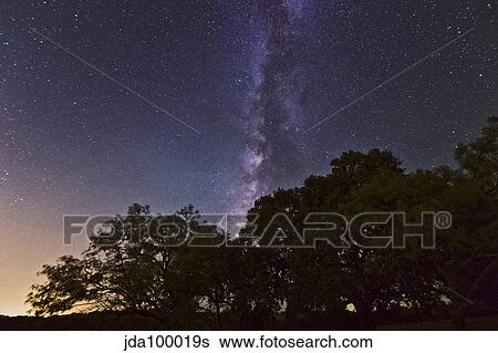 Milky Way above live oak and mesquite trees. View Large Photo Image Stock Photograph - Milky Way above live oak and mesquite trees.. Fotosearch