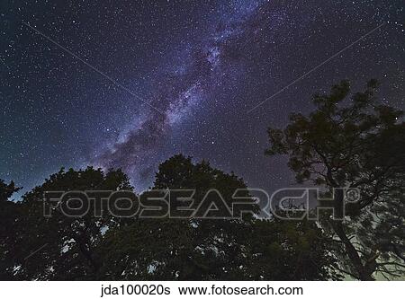 Milky Way above live oak and mesquite trees. View Large Photo Image Stock Photograph - Milky Way above live oak and mesquite trees.. Fotosearch