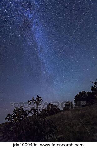 Milky Way rises over a hill of brush and cacti, Kenton, Okalhoma. View Large Photo Image Stock Photograph - Milky Way rises over a hill of brush and cacti, Kenton, Okalhoma.. Fotosearch
