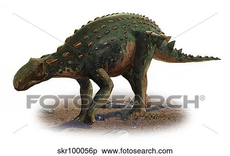 Minmi paravertebra, a prehistoric era dinosaur. View Large Illustration Stock Illustration - Minmi paravertebra, a prehistoric era dinosaur.. Fotosearch