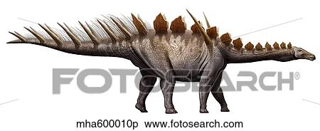 Miragaia longicollum, a stegosaurid of the Jurassic period. View Large Illustration Stock Illustration - Miragaia longicollum, a stegosaurid of the Jurassic period.. Fotosearch