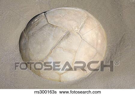 Moeraki Boulder, Koekohe Beach, New Zealand. View Large Photo Image Stock Photograph - Moeraki Boulder, Koekohe Beach, New Zealand.. Fotosearch