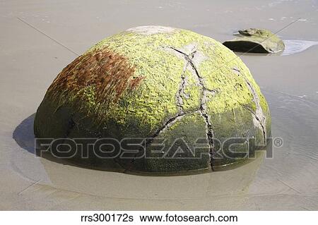 Moeraki Boulder, Koekohe Beach, New Zealand. View Large Photo Image Stock Photograph - Moeraki Boulder, Koekohe Beach, New Zealand.. Fotosearch