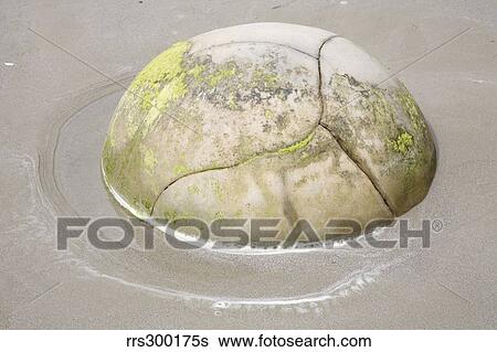 Stock Photograph - Moeraki Boulder, Koekohe Beach, New Zealand.. Fotosearch