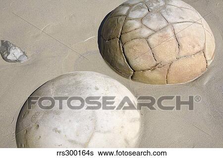 Moeraki Boulders, Koekohe Beach, New Zealand. View Large Photo Image Stock Photograph - Moeraki Boulders, Koekohe Beach, New Zealand.. Fotosearch