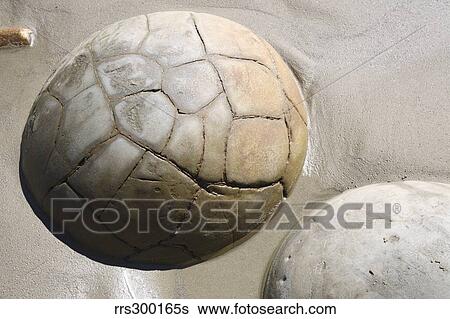 Moeraki Boulders, Koekohe Beach, New Zealand. View Large Photo Image Stock Photograph - Moeraki Boulders, Koekohe Beach, New Zealand.. Fotosearch