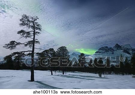 Stock Photograph - Moonlight and aurora borealis, Forramarka, Troms, Norway.. Fotosearch