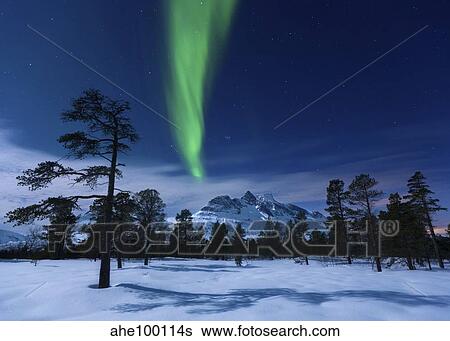 Stock Photograph - Moonlight and aurora borealis, Forramarka, Troms, Norway.. Fotosearch
