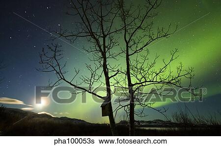 Moonset and the northern lights, Yukon, Canada. View Large Photo Image Stock Photograph - Moonset and the northern lights, Yukon, Canada.. Fotosearch