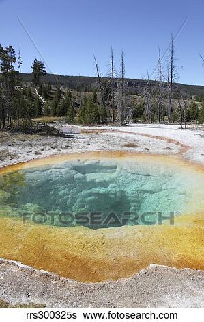 Morning Glory Pool Hot Spring, Upper Geyser Basin geothermal area, Yellowstone National Park. View Large Photo Image Stock Photograph - Morning Glory Pool Hot Spring, Upper Geyser Basin geothermal area, Yellowstone National Park.. Fotosearch