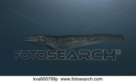 Mosasaur swimming in prehistoric waters. View Large Illustration Stock Illustration - Mosasaur swimming in prehistoric waters.. Fotosearch