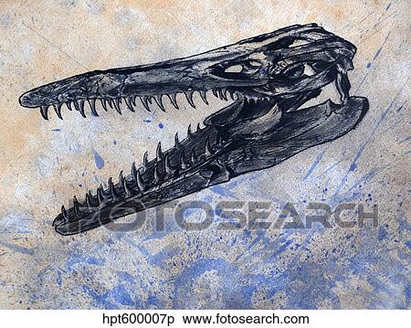 Stock Illustration - Mosasaurus dinosaur skull.. Fotosearch