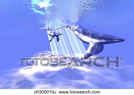 Stock Illustration - Mother and baby glide through crystal clear waters of the ocean.. Fotosearch