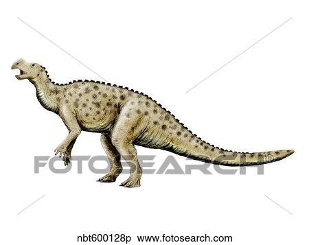 Muttaburrasaurus dinosaur. View Large Illustration Stock Illustration - Muttaburrasaurus dinosaur.. Fotosearch