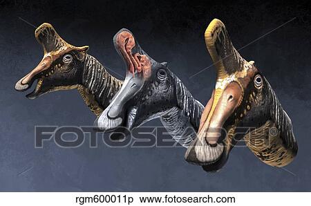 Nasal pasages of Lambeosaurus lambei. View Large Illustration Stock Illustration - Nasal pasages of Lambeosaurus lambei.. Fotosearch